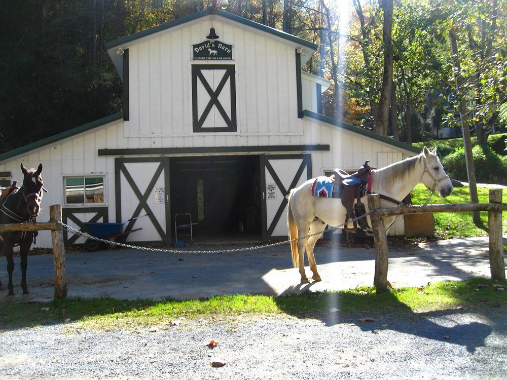 Valle Crucis Farm Extérieur photo
