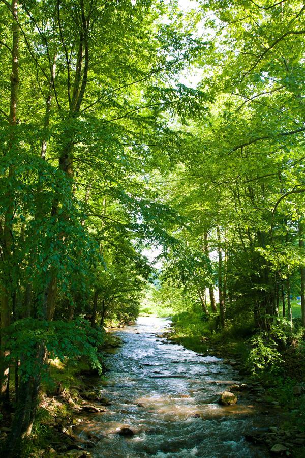 Valle Crucis Farm Extérieur photo